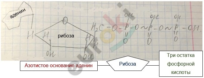 Diagram Description automatically generated