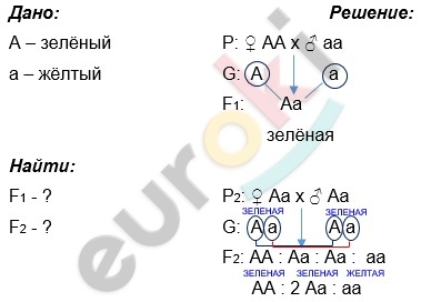 Diagram Description automatically generated