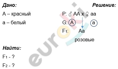 A picture containing diagram Description automatically generated