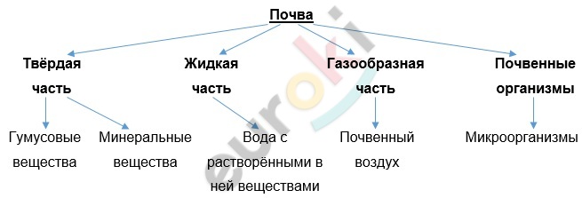 Diagram Description automatically generated