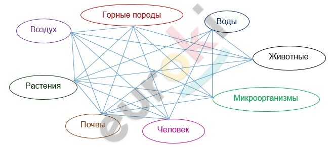 Diagram Description automatically generated