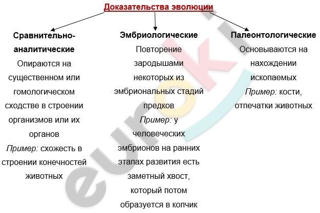 Diagram, table Description automatically generated