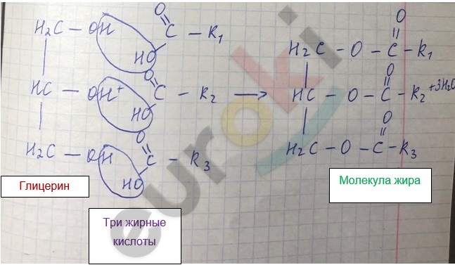 A whiteboard with writing on it Description automatically generated with low confidence