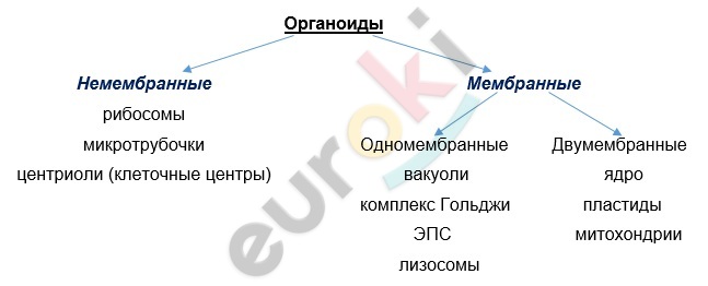 Diagram Description automatically generated