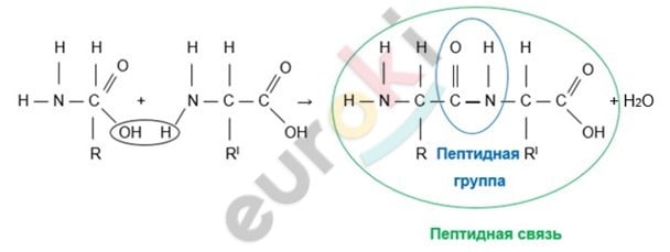 Diagram Description automatically generated