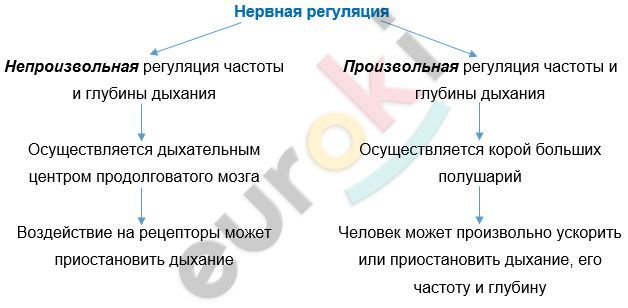 Diagram Description automatically generated