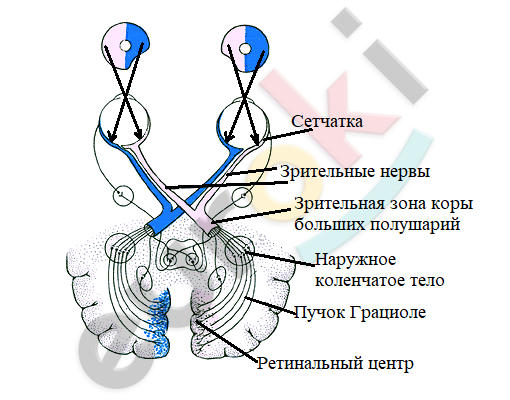 Diagram Description automatically generated