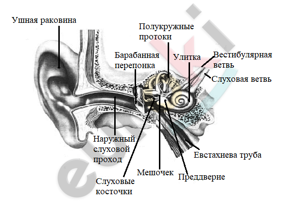 Diagram Description automatically generated