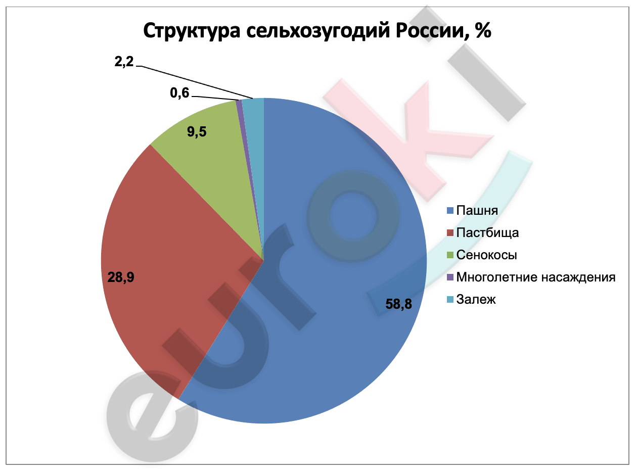 Chart, pie chart Description automatically generated