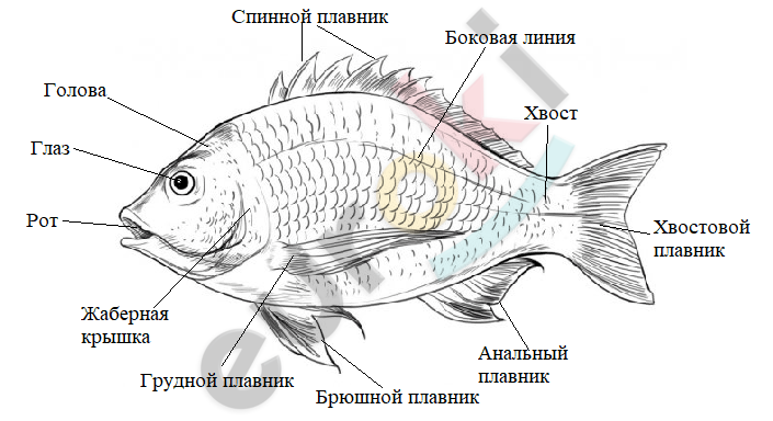 Diagram Description automatically generated