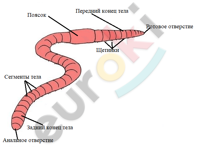 Diagram Description automatically generated