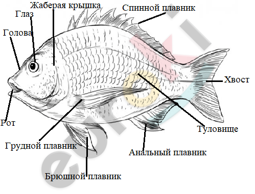 Diagram Description automatically generated