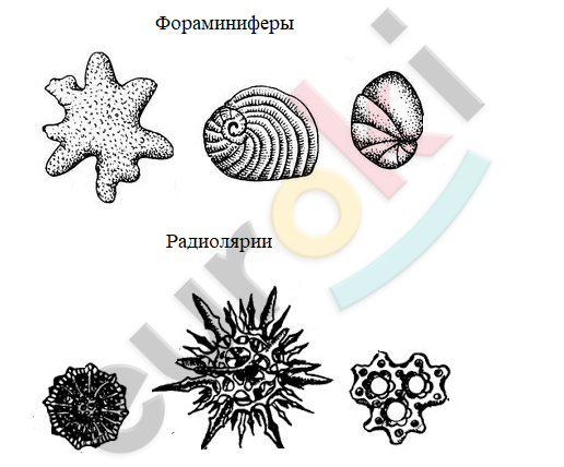 Diagram Description automatically generated