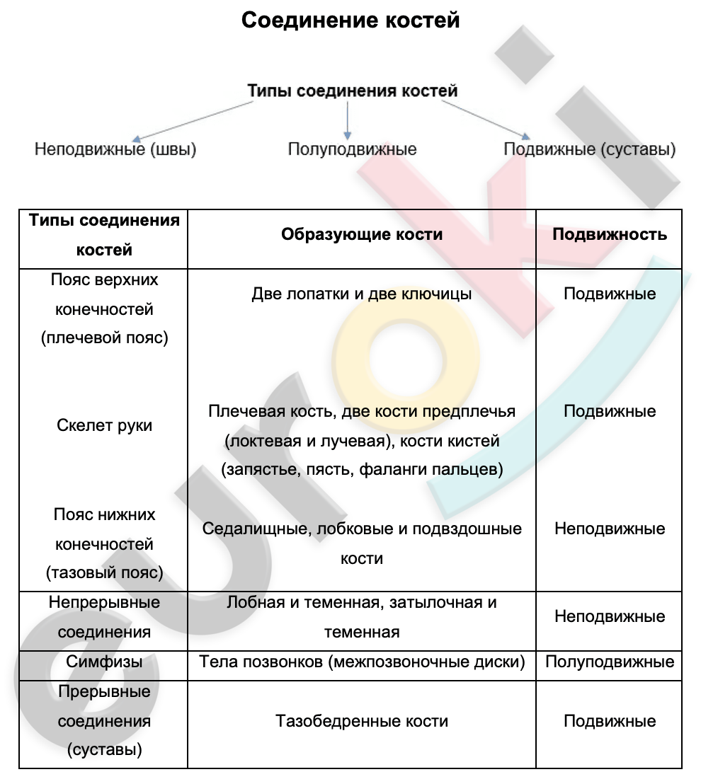 Diagram, table Description automatically generated