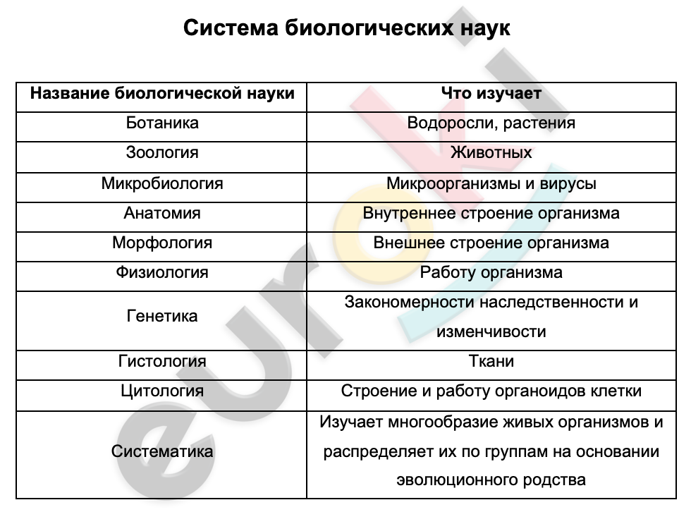 Таблицa по биологии 9 класс Система биологических наук