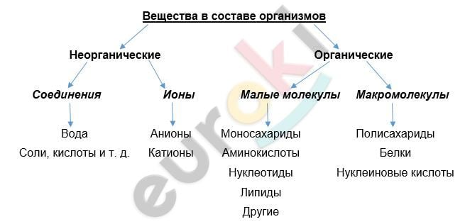 Diagram Description automatically generated