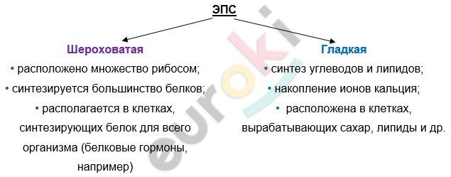 Diagram Description automatically generated