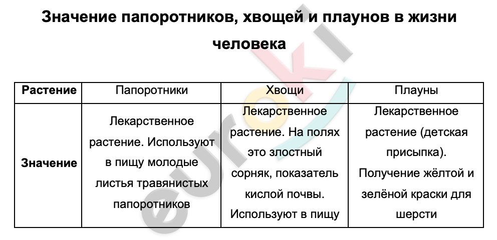 Таблицa по биологии 6 класс Значение папоротников, хвощей и плаунов в жизни человека