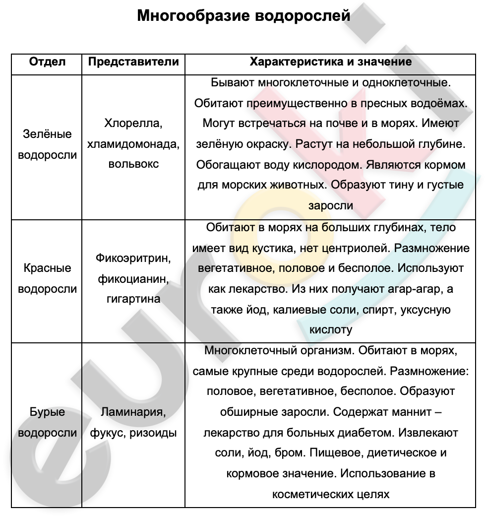 Таблицa по биологии 6 класс Многообразие водорослей