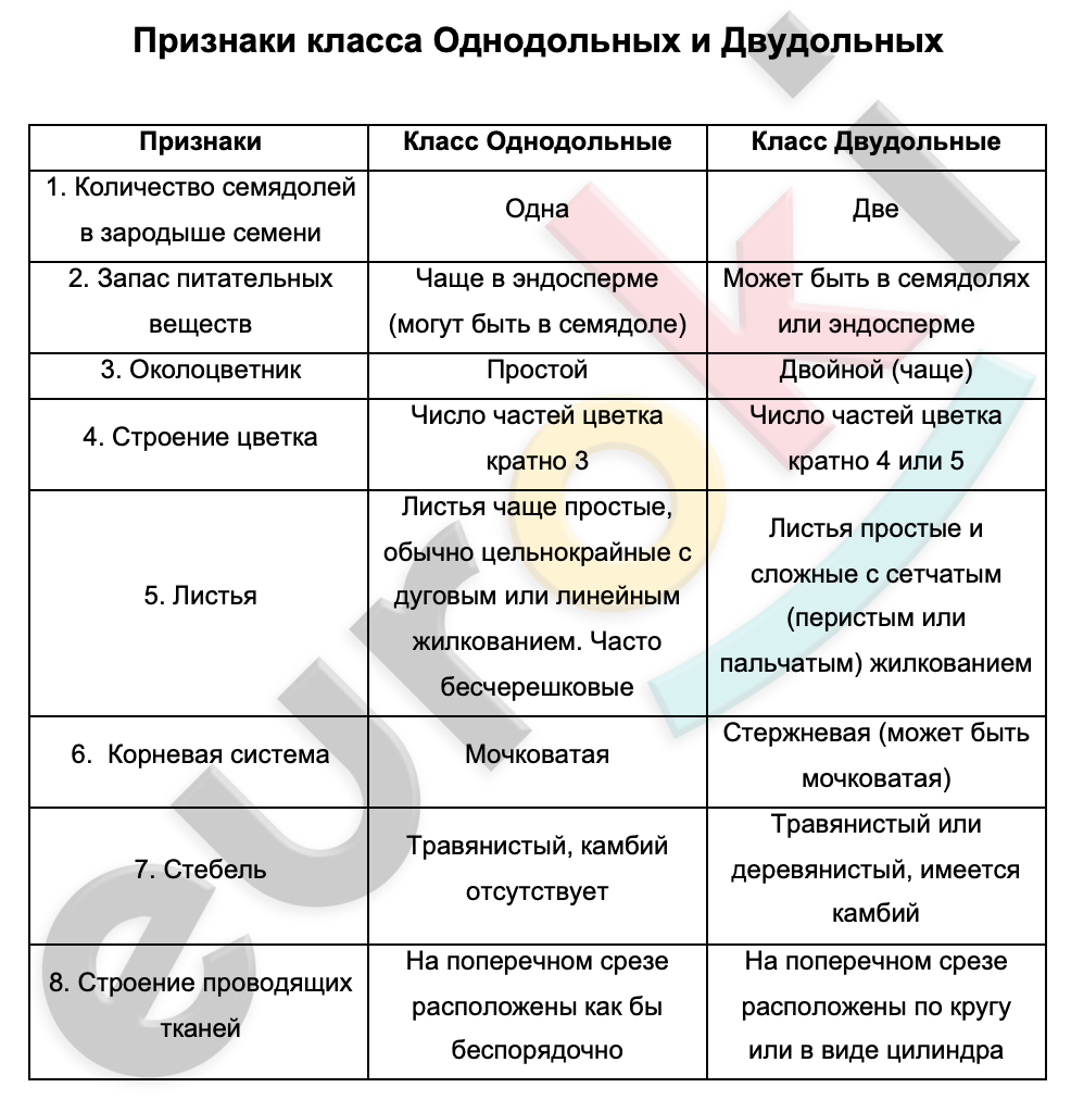 Таблицa по биологии 6 класс Признаки классов Однодольные и Двудольные