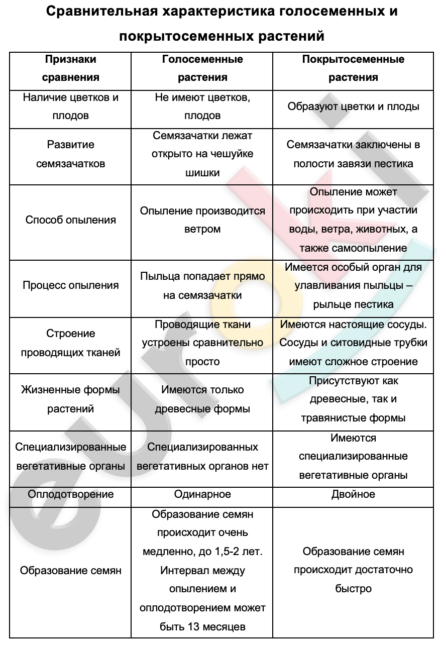 Diagram, table Description automatically generated