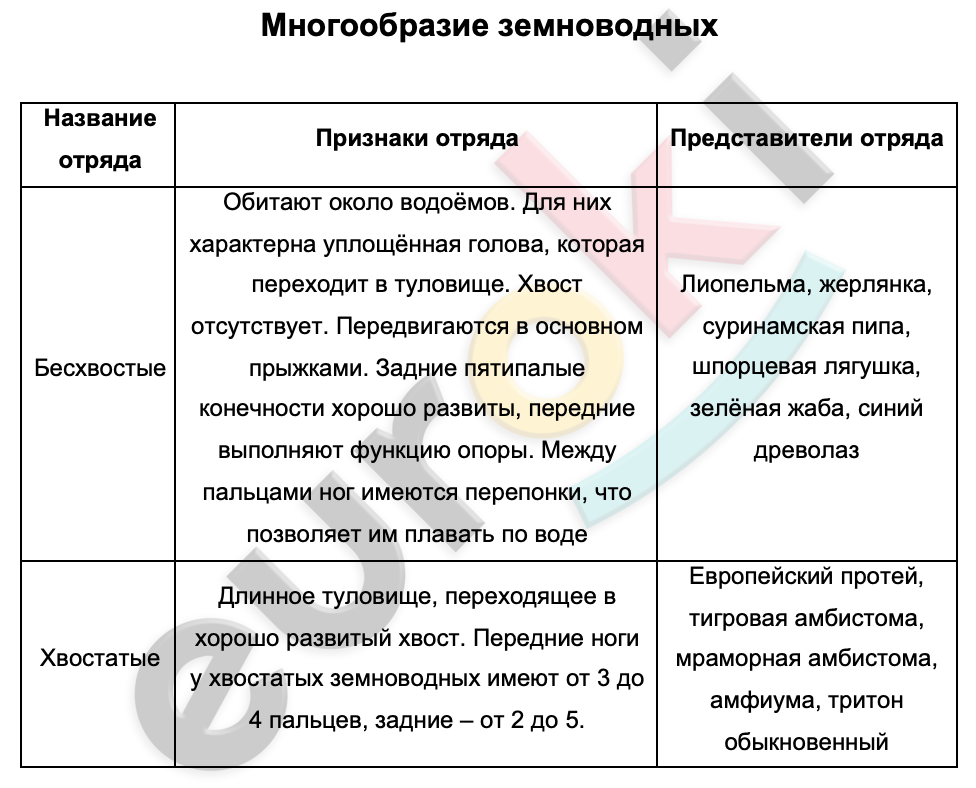 Таблицa по биологии 7 класс Многообразие земноводных