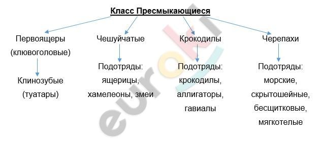 Diagram Description automatically generated