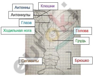 Diagram Description automatically generated