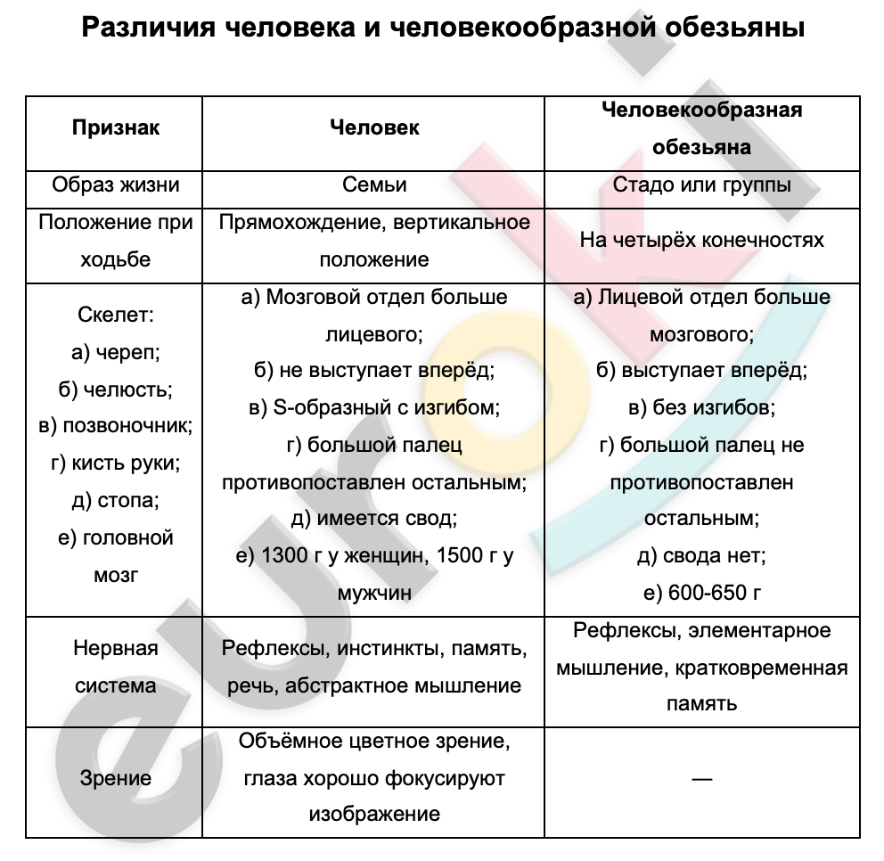 Таблицa по биологии 9 класс Различия человека и человекообразной обезьяны