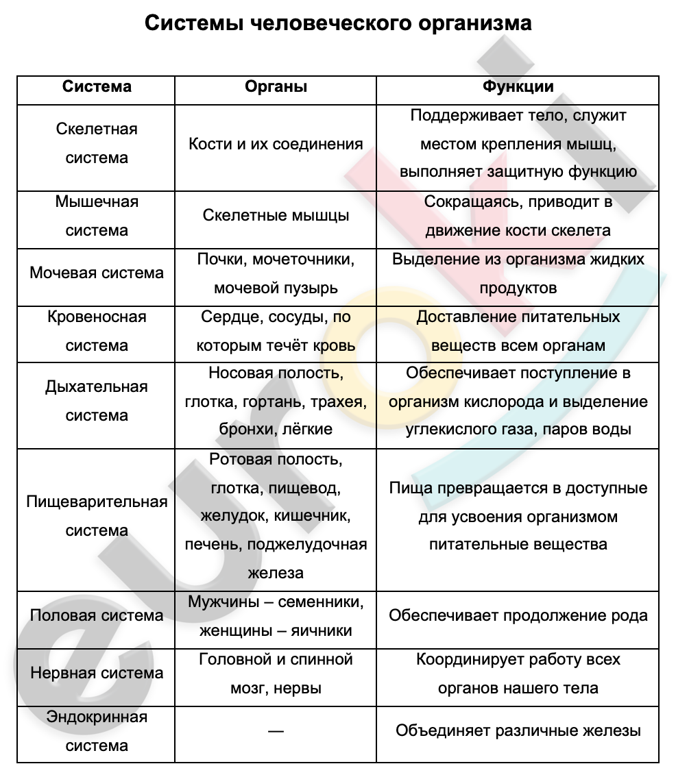 Таблицa по биологии 9 класс Системы человеческого организма