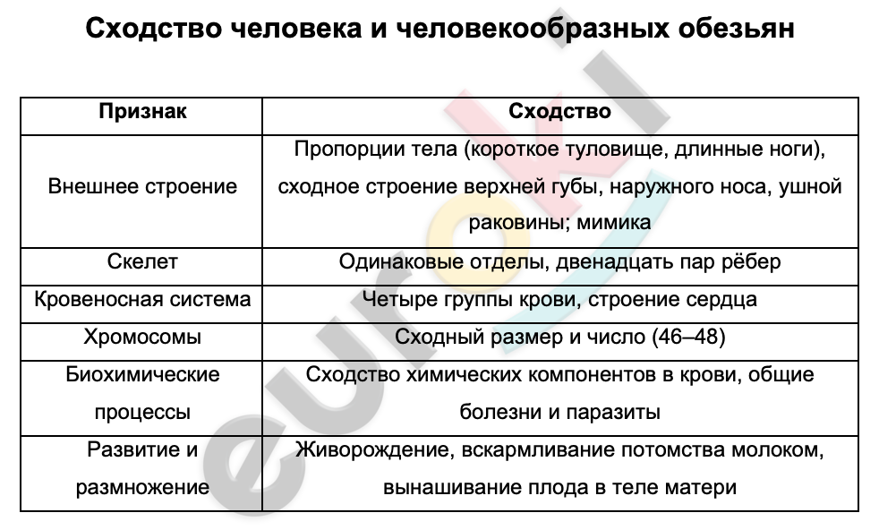 Таблицa по биологии 9 класс Сходство человека и человекообразных обезьян