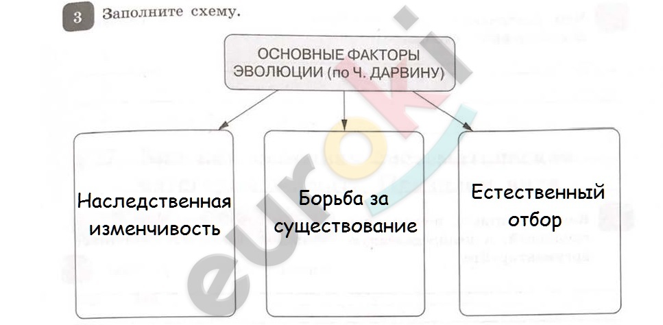 Печать_Страница_03.jpg