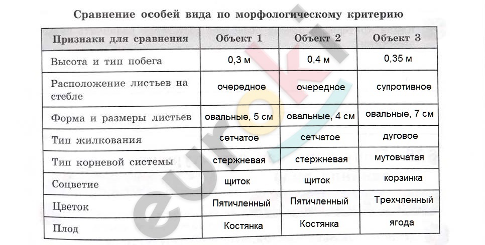 Печать_Страница_04.jpg