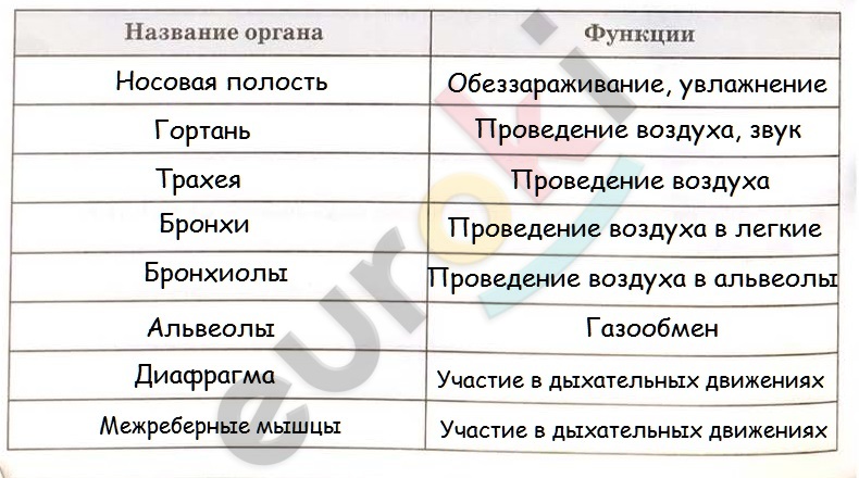 Отсканированные документы2_Страница_01.jpg