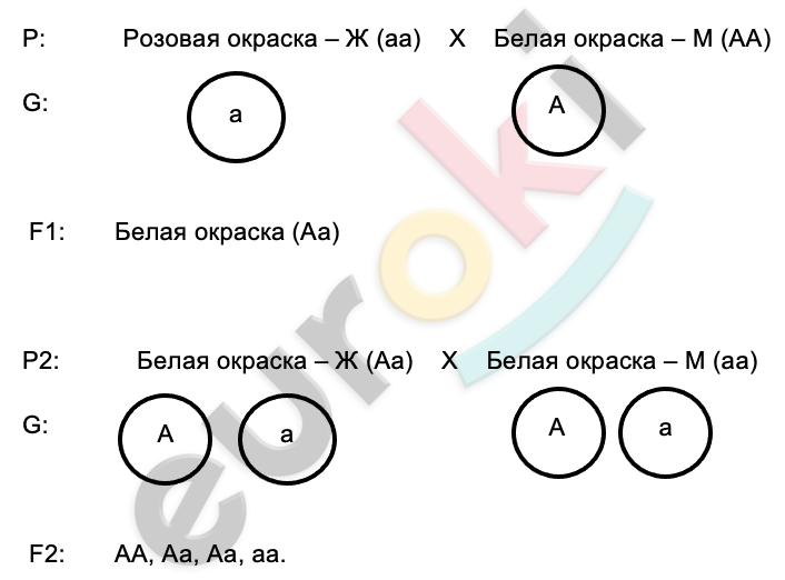 Diagram Description automatically generated