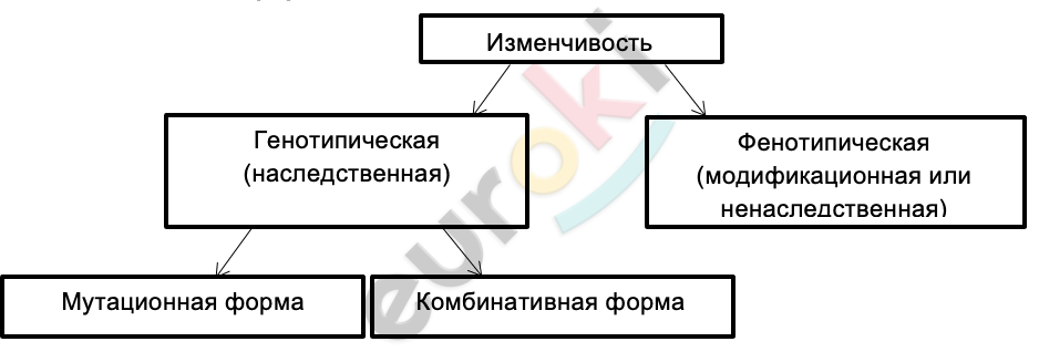 Diagram Description automatically generated