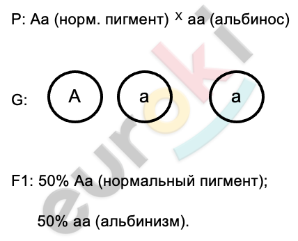 Diagram Description automatically generated with low confidence