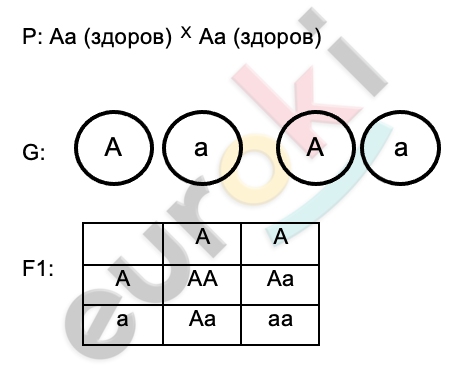 A picture containing shape Description automatically generated