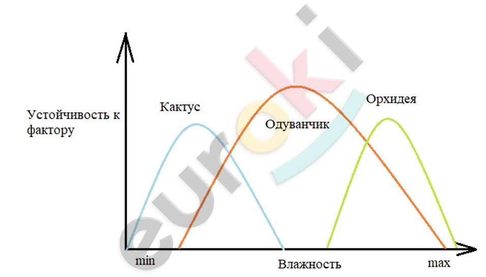 Diagram Description automatically generated