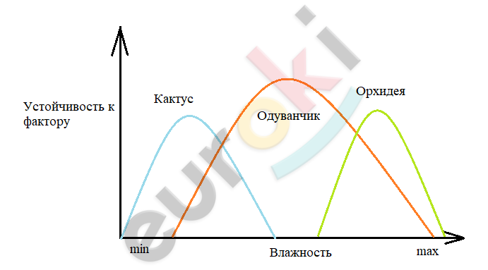 Diagram Description automatically generated