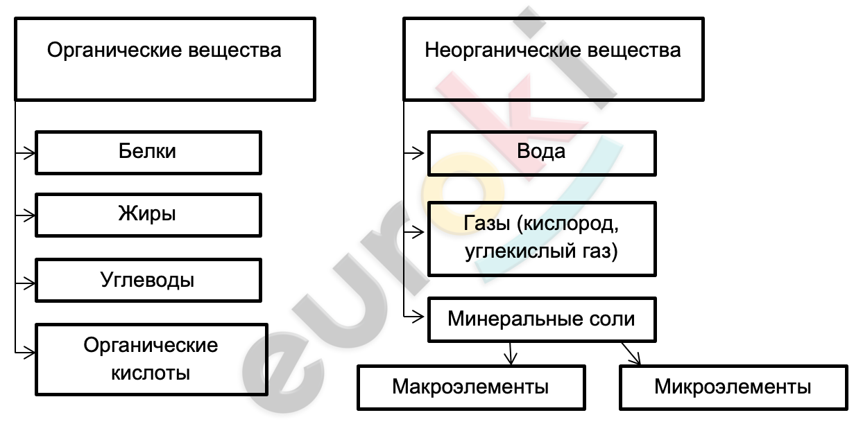 Diagram, schematic Description automatically generated