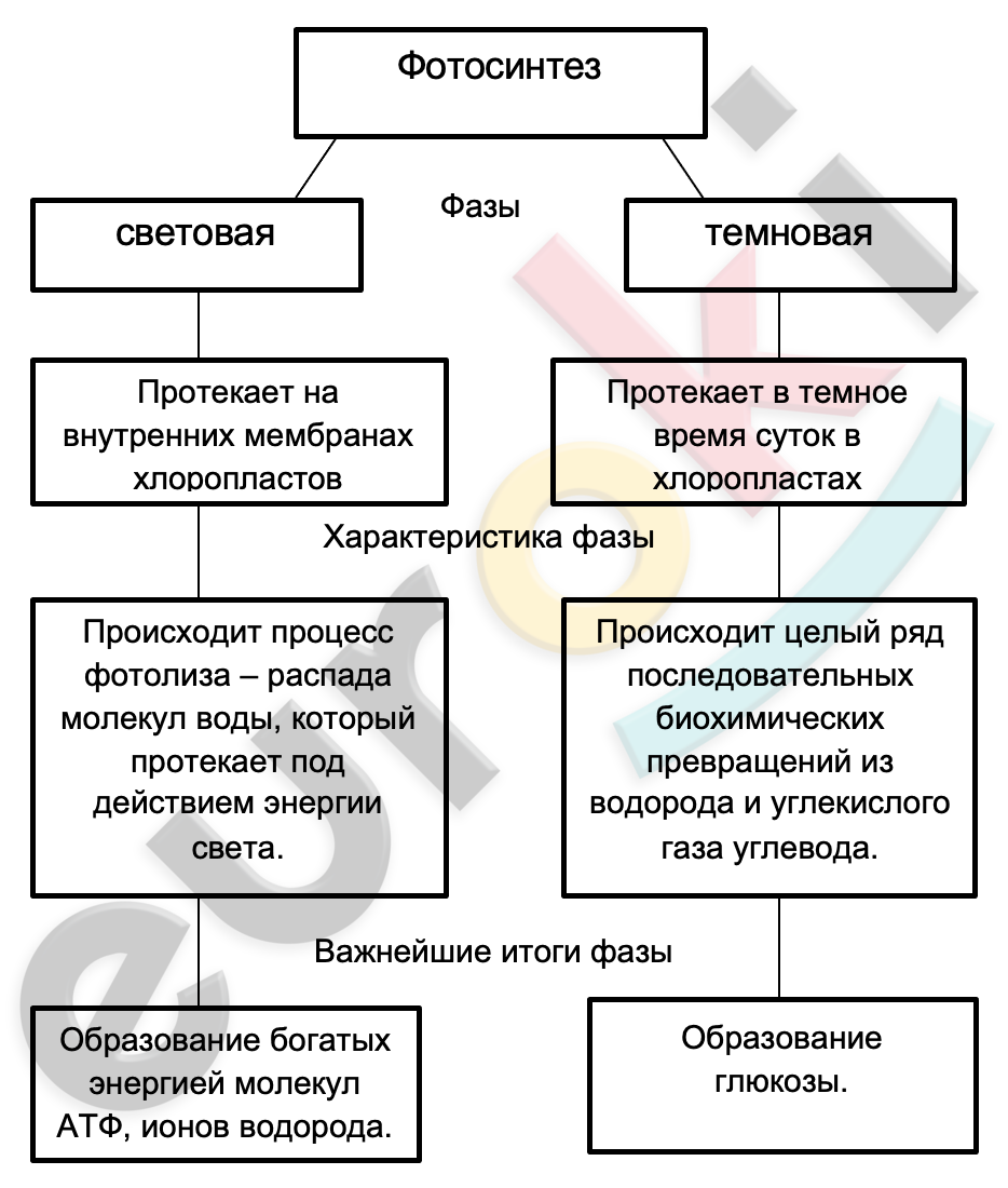 Diagram, schematic Description automatically generated