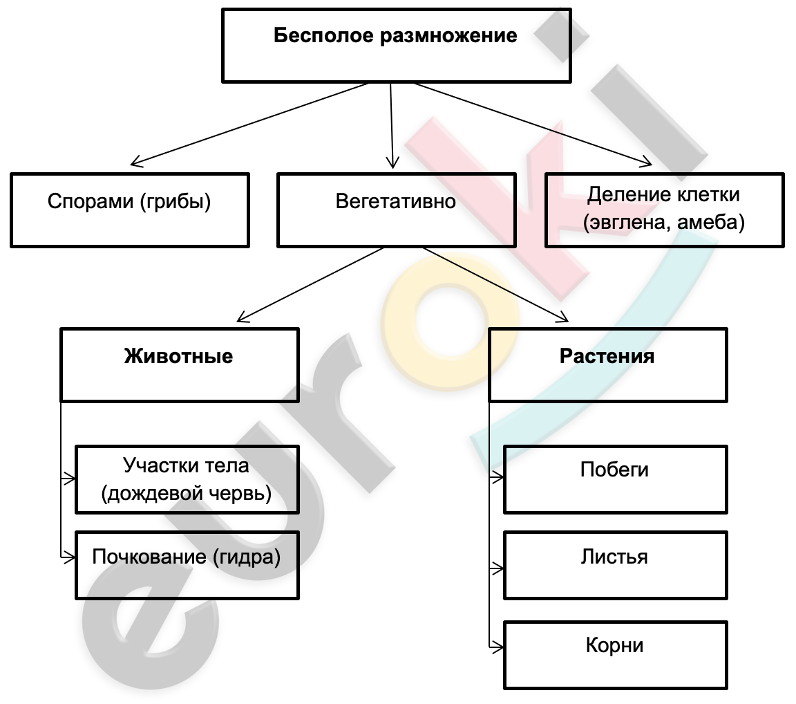 Diagram Description automatically generated