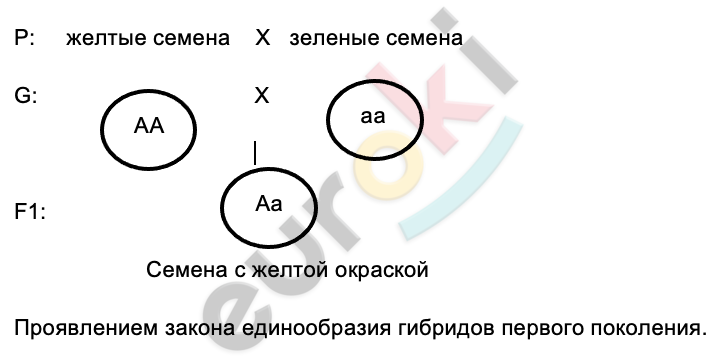 Diagram Description automatically generated