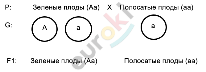 Diagram Description automatically generated