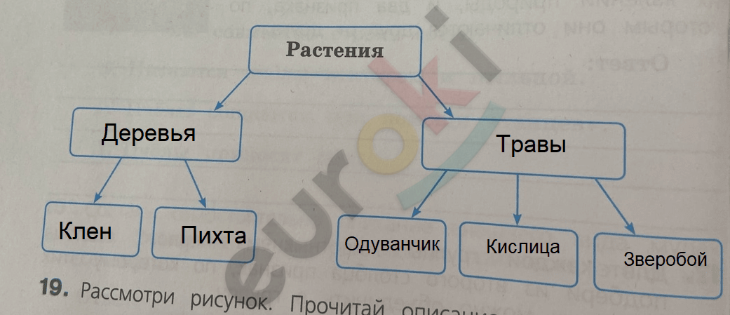 Diagram Description automatically generated