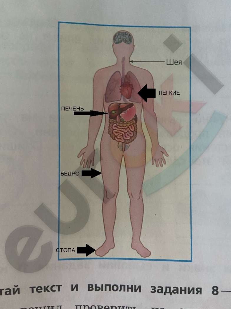 Diagram Description automatically generated