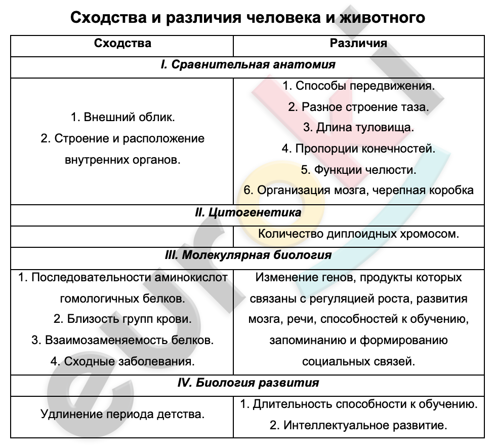 Таблицa по биологии 11 класс Сходства и различия человека и животного