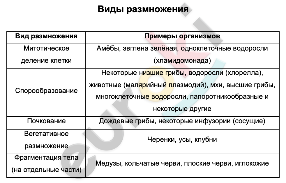 Таблицa по биологии 9 класс Виды размножения