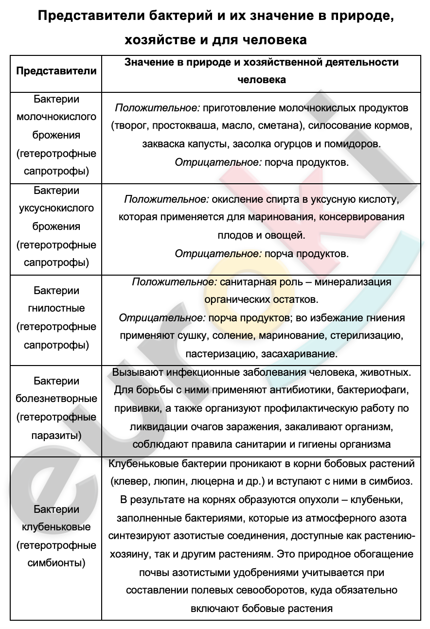 Таблицa по биологии 9 класс Представители бактерий и их значение в природе, хозяйстве и жизни человека